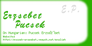 erzsebet pucsek business card